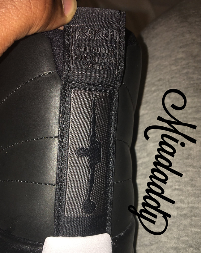 Air Jordan 12 Wings Black Gold